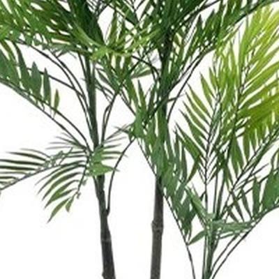 Areca palm Aruba in pot green 140 cm kunstbloem Erutan Avon - Erutan avon