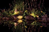 Pontec 77939 Vijverbelichting Set van 3 stuks LED 0.5 W Zwart - thumbnail