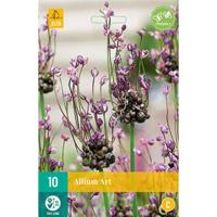 Allium art 10 bollen - thumbnail