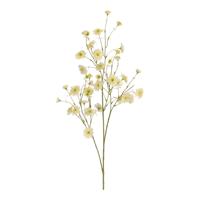 Kunst Korenbloemtak 100cm Creme - thumbnail