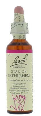 Bach Flower Remedies Vogelmelk 29 Bach Flower Remedies Vogelmelk 29