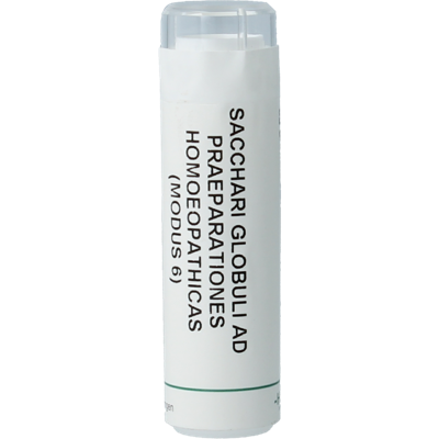 Homeoden Heel Saccharum officinalis/Placebo granulen 6 Gram Homeoden Heel Saccharum officinalis/Placebo granulen 6 Gram