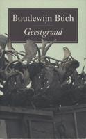 Geestgrond - Boudewijn Büch - ebook - thumbnail