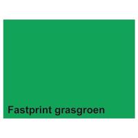 Quantore Kopieerpapier fastprint a4 160gr grasgroen 50vel - thumbnail