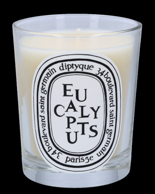 Diptyque Eucalyptus Scented Candle 190 g
