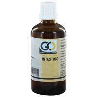 GO Intestino BIO - thumbnail