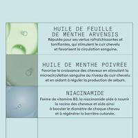 Nioxin Scalp Recovery Kit - thumbnail