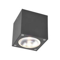 Paul Neuhaus 9674-13 Georg Buitenplafondlamp LED 7 W Antraciet - thumbnail