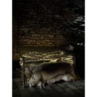 LED Mini lichtslang 2 meter 260 LED, warmwit 3.6W 5mm doorsnede 3090-100 met transformator - thumbnail