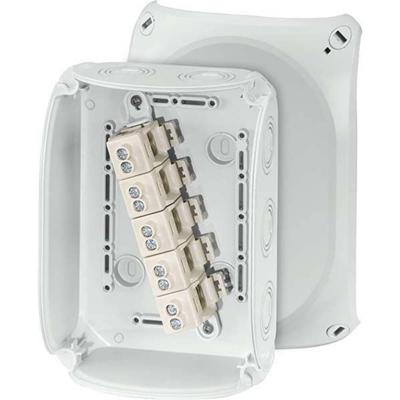 Hensel 62000061 Verdeeldoos Halogeenvrij, Verzegelbaar, Weerbestendig (l x b) 180 mm x 130 mm 1 stuk(s) Hensel 62000061 Verdeeldoos Halogeenvrij, Verzegelbaar, Weerbestendig (l x b) 180 mm x 130 mm 1 stuk(s)