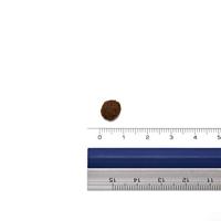 FARMINA N&D Prime Cat Boar and Apple Adult - droog kattenvoer - 300 g - thumbnail