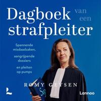 Dagboek van een strafpleiter - thumbnail
