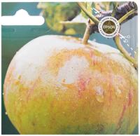 Epson DURABrite Multipack T1295 - thumbnail