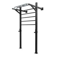 Toorx Professional LDX-5000 Wallbar Staal - thumbnail