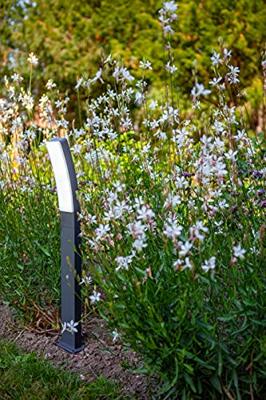 Lutec Design padverlichtingKira 4000K - 7288902118