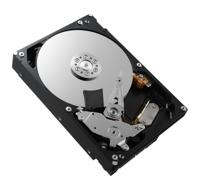 Toshiba HDD P300 500GB - thumbnail