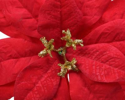 Bloem op clip Poinsettia dia.16cm