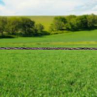 Gallagher EconomyLine cord terra 200m - 063949 063949 - thumbnail