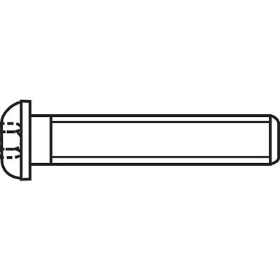 TOOLCRAFT 839798 Lenskopschroeven M4 8 mm Binnenzeskant (inbus) RVS A2 100 stuk(s)