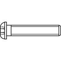 TOOLCRAFT 839798 Lenskopschroeven M4 8 mm Binnenzeskant (inbus) RVS A2 100 stuk(s) - thumbnail