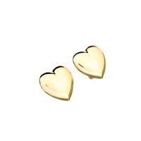 Oorbellen Dames Chiara Ferragni J19AXP07 - thumbnail