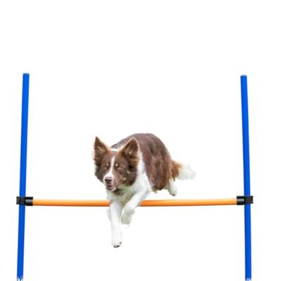 Trainingsspeelgoed Trixie - thumbnail