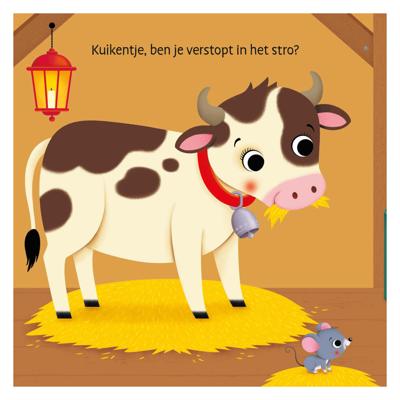 Deltas Waar is het kuikentje? flapjesboek