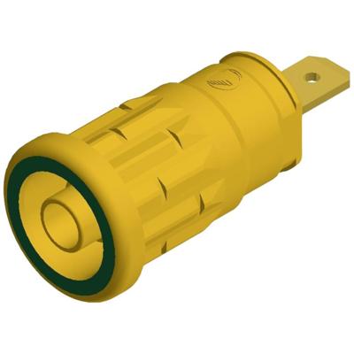 SKS Hirschmann SEP 2610 F4,8 Veiligheids-labconnector, female Bus, inbouw verticaal Stift-Ø: 4 mm Geel, Groen 1 stuk(s) SKS Hirschmann SEP 2610 F4,8 Veiligheids-labconnector, female Bus, inbouw verticaal Stift-Ø: 4 mm Geel, Groen 1 stuk(s)