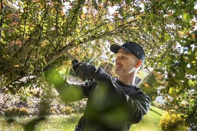 Wolfcraft 4969000 Impulsiecaps EN 812 Zwart, Grijs