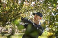 Wolfcraft 4969000 Impulsiecaps EN 812 Zwart, Grijs - thumbnail