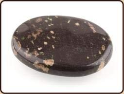 Zaksteen Agaat Turritella