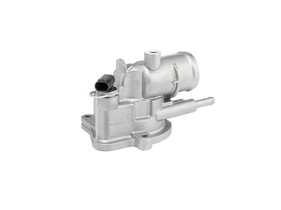 Thermostaat 41017187D