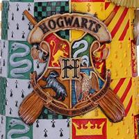 Harry Potter - Golden Snitch Collectable Tankard - thumbnail