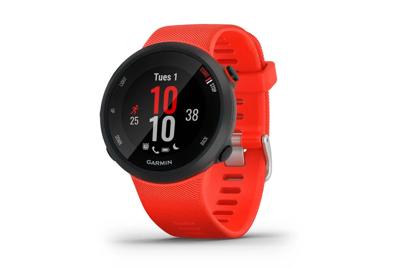 Garmin Garmin Forerunner 45 Rot Smartwatch