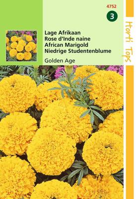 Zaden Tagetes lage Afrikaan Golden Age Hortitops - Hortitops