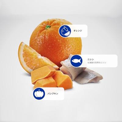 FARMINA N&D Ocean Herring Pumpkin&Orange Adult - droog kattenvoer - 1,5 kg