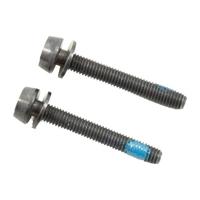 Campagnolo mounting bolts for disc brakes (pack of 2) | 39 mm - thumbnail