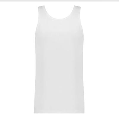 Ten Cate heren hemden organic cotton 2-pack wit