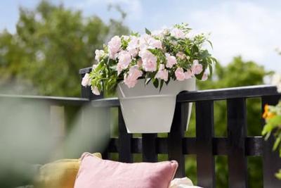 Elho Balkonbak Vibia Campana flower bridge 40cm wit
