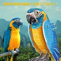 Cubic Fun 3d puzzel national geographic ara, 94st. - thumbnail