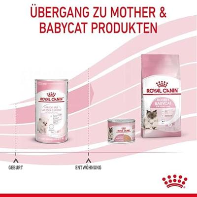 Royal Canin Babycat Milk kittenmelk 300 g Royal Canin Babycat Milk kittenmelk 300 g