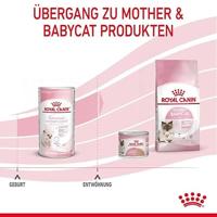 Royal Canin Babycat Milk kittenmelk 300 g - thumbnail