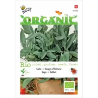 Zaden Organic Salie (BIO) Buzzy - Buzzy - thumbnail