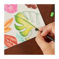 BIC intensity kleurpotloden, 12st. - thumbnail