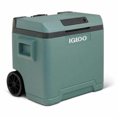 Koelbox Igloo71 Abeto Plastic 42 L