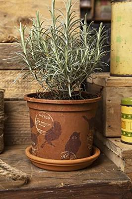 Sizzix • tim holtz thinlits die set silhouette birds 9pcs