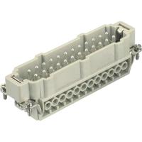 HARTING 09330242611 Pin-inzetstuk Han® E 24 + PE Schroeven 1 stuk(s) Piece - thumbnail