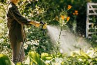 Fiskars X-Series Tuinslang 13 mm (1/2”) 50 m - 1076046 - thumbnail