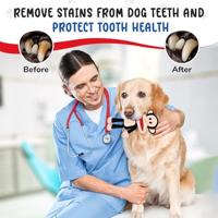 PAUL FRANK PLUCHE AAP JULIUS - thumbnail