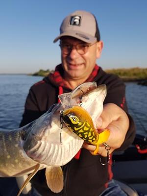 Rozemeijer Fat Dizzy 9cm 23Gr Speckled Blue Gill SBG